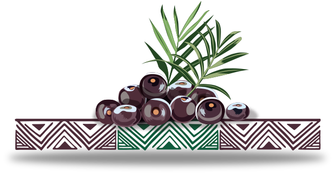 Imagem de sementes de açaí sobre desenhos da indentidade visual, desenho indígenas brasileiros.